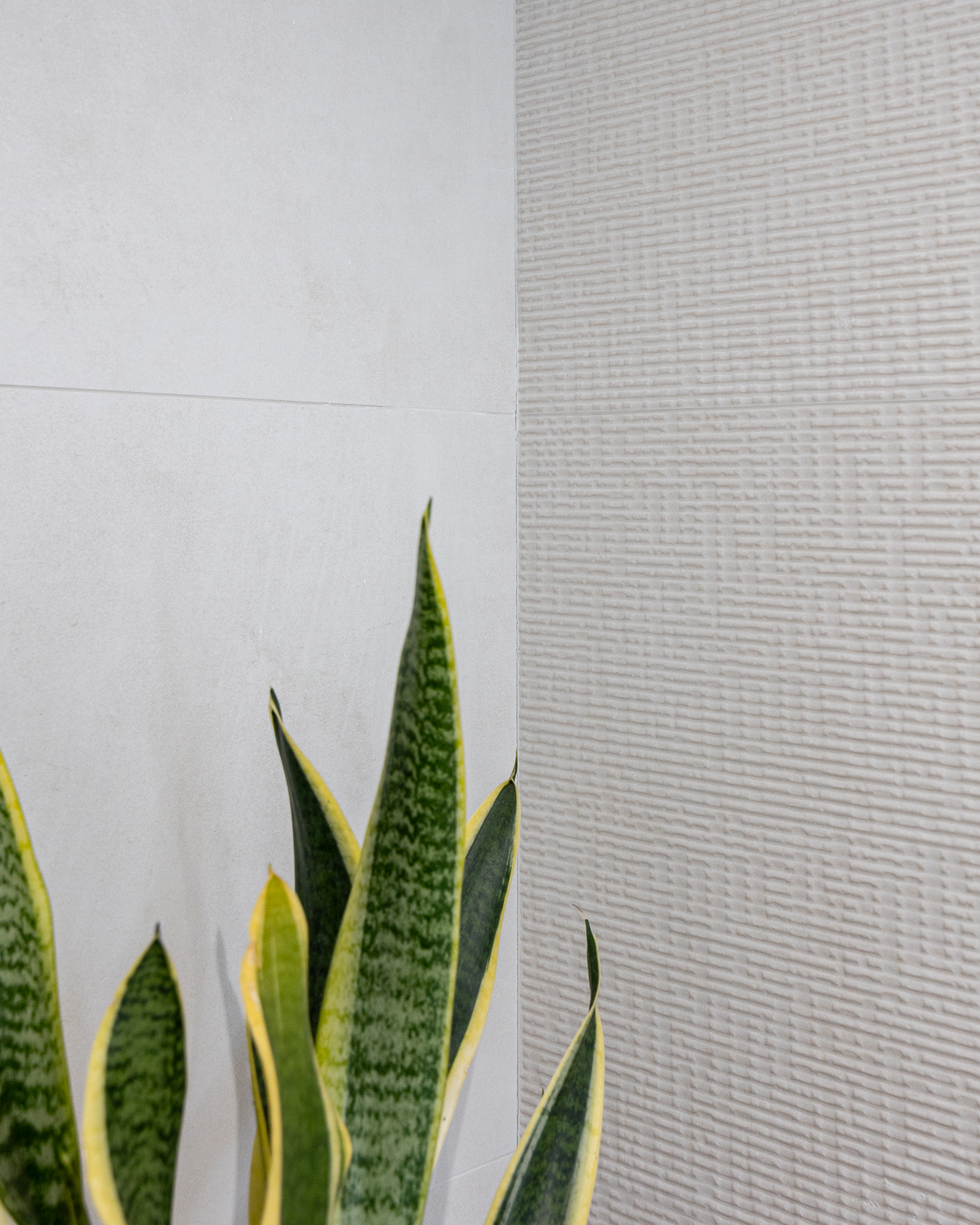 Imagen del proyecto Casa Nuvart